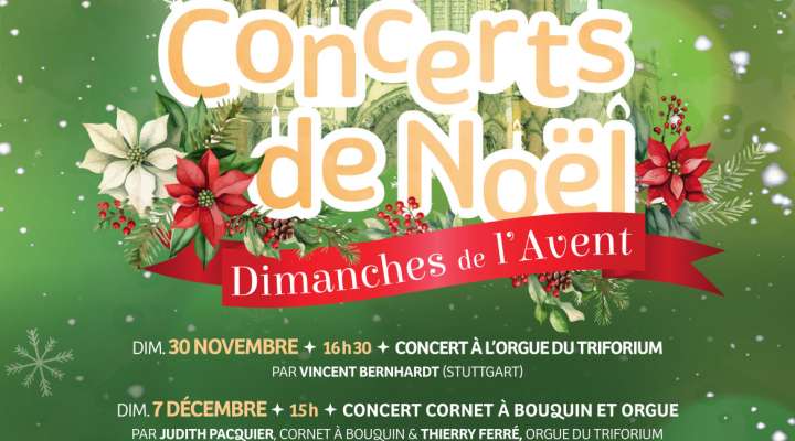 Concert à l'orgue Renaissance de la cathédrale