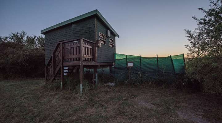 Balade aux étangs de Hoste