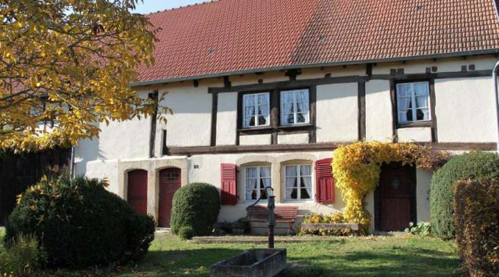 Visite guidée de la Maison Güth