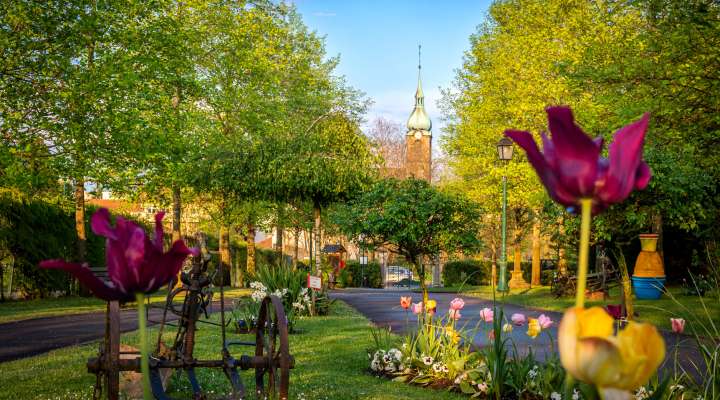 Parc municipal de Freyming-Merlebach