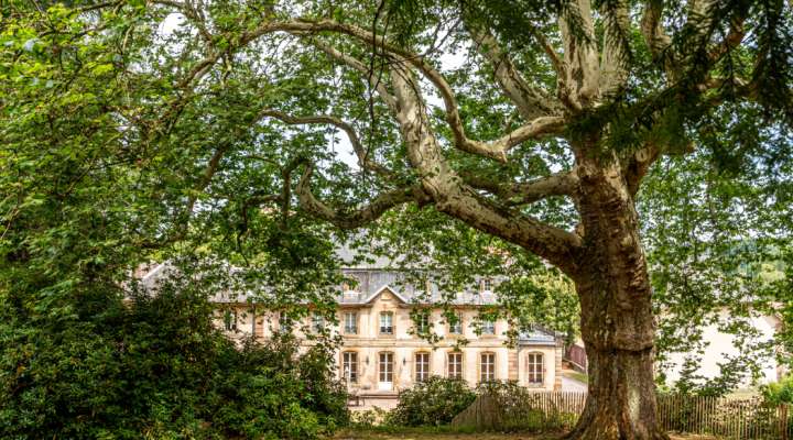 PARK DES SCHLOSSES VON HAUSEN