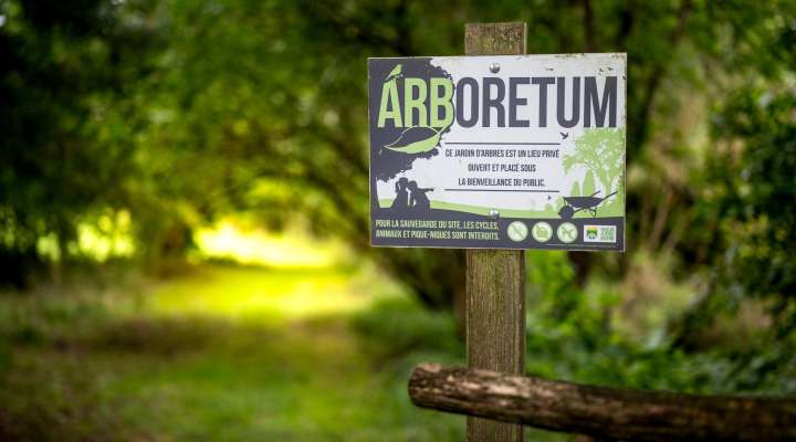 Visite commentée de l'arboretum de la Maison Güth