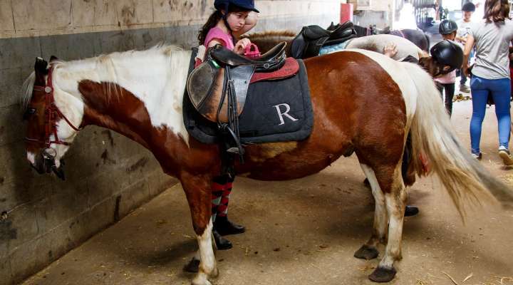 Centre équestre de Thionville et Cattenom
