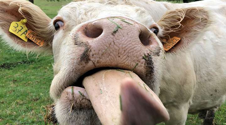 Circuit des 3 collines