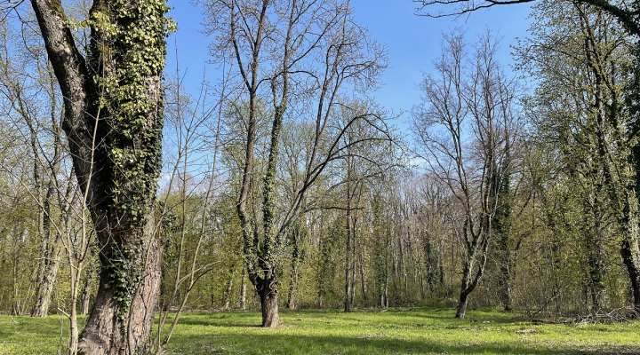 Circuit du fort d'Illange et de Yutz