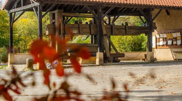 Promenade linéaire Thionville - Bellevue
