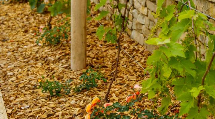 Der Aussichtspunkt Crève-coeur