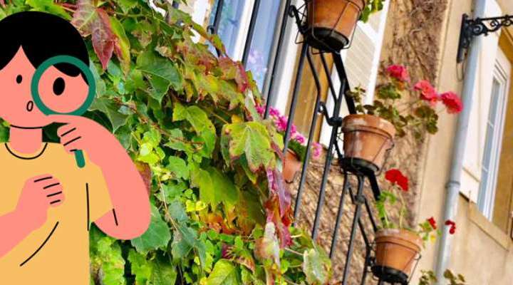 Théodon sur les traces des vignerons