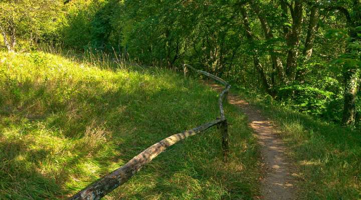 Nationales Naturschutzgebiet von Montenach