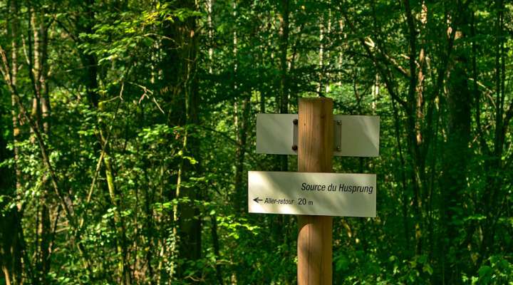 Résurgence du Husprung