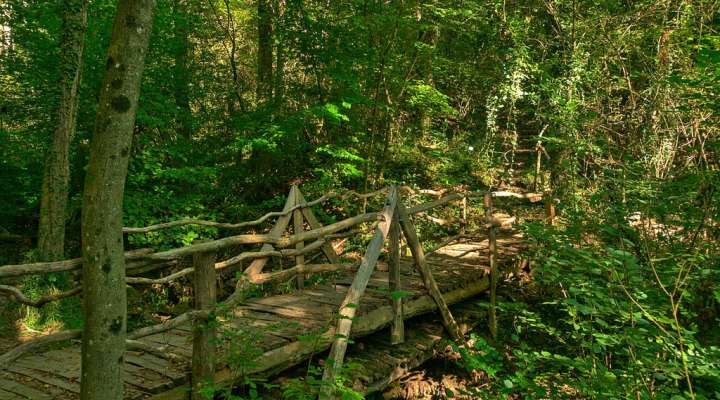 Pelouses et rochers du Pays de Sierck