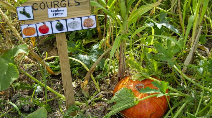 La campagne du pony ranch