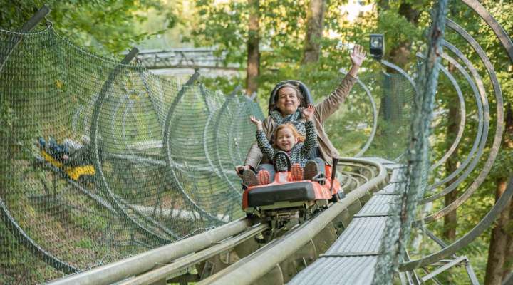 Luge alpine coaster
