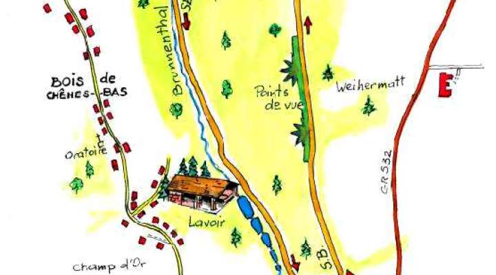 Sentier botanique du Brunnenthal