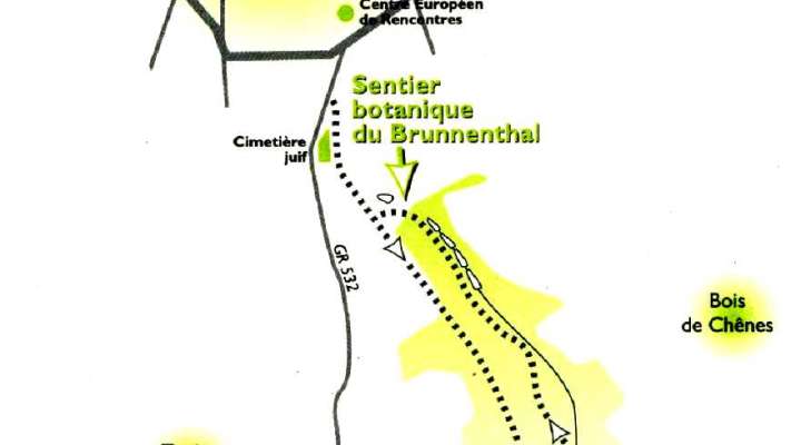Sentier botanique du Brunnenthal