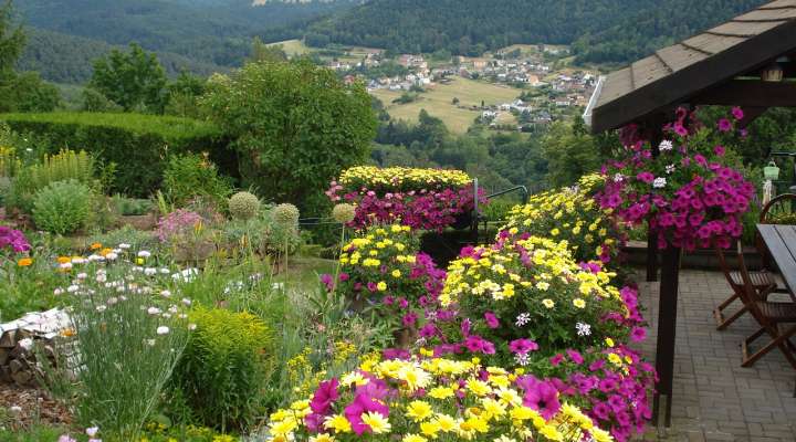 Gîte le Gîte Fleuri
