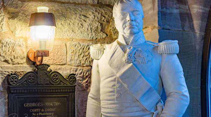 Musée historique, militaire et Erckmann-Chatrian