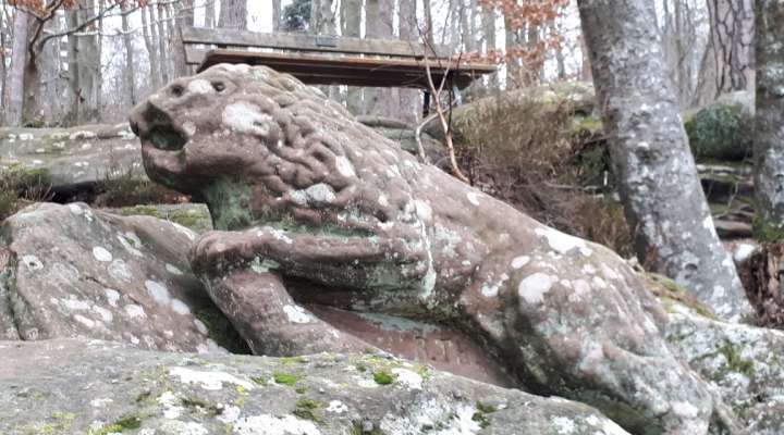 Rocher du Corbeau - Krappenfels