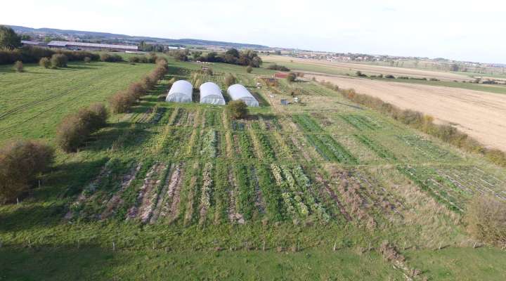 Dieudonné - Frères & Terre