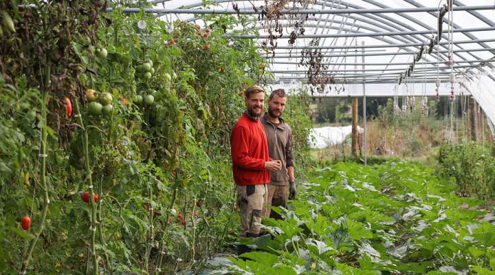 Dieudonné - Frères & Terre