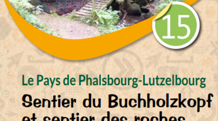 Sentier du Buchholzkopf et sentier des roches