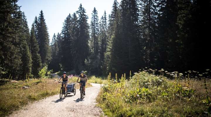 Escapade vélo à Dabo