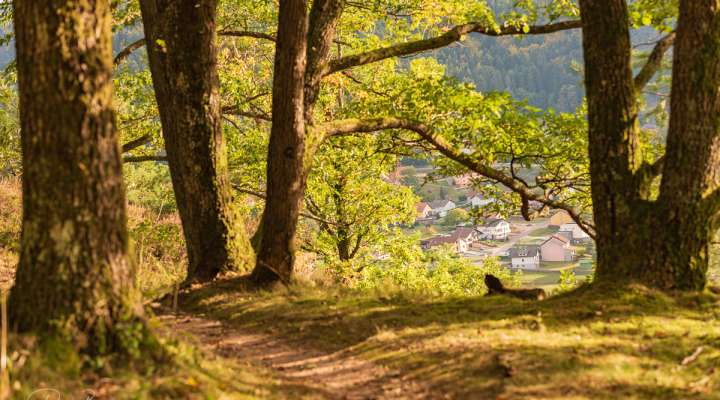 Circuit vélo les sommets de la Moselle