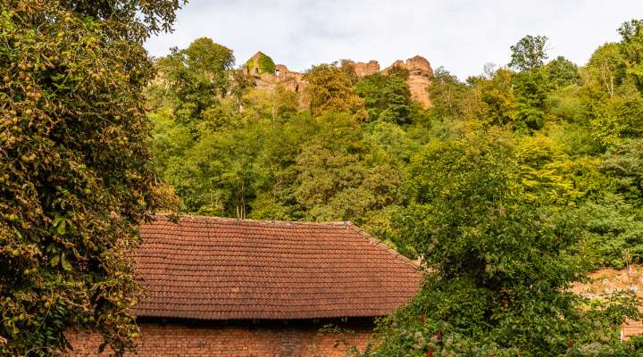 Escapade vélo au château de Lutzelbourg