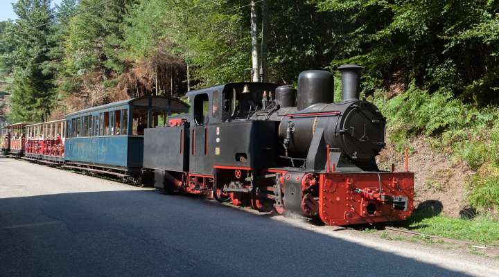 CHEMIN DE FER FORESTIER - WALDEISENBAHN