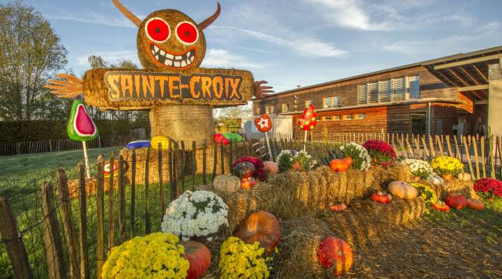 Halloween au Parc de Sainte-Croix - la sorcière des vents