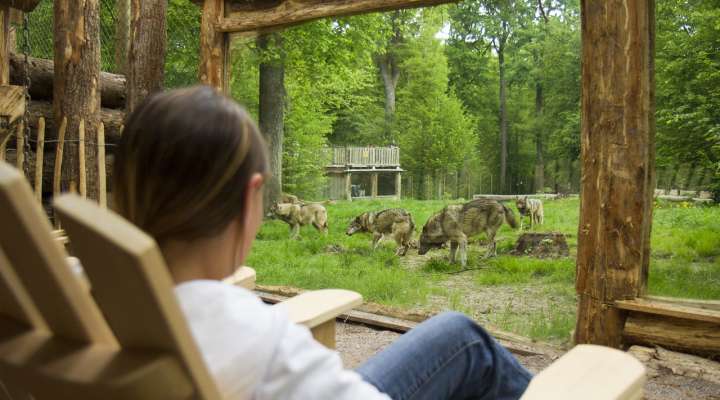 Außergewöhnliche Unterkünft - La Tanière