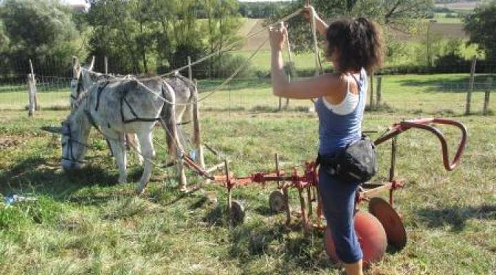 Bauernhof Le Champ du Ver Luisant