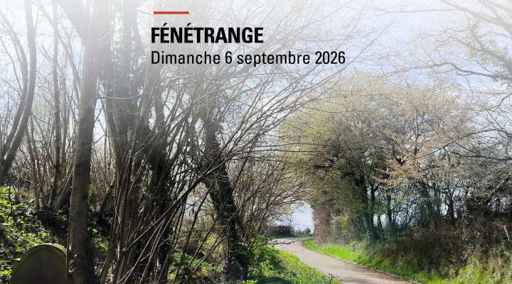 Dimanche de Caractère® à Fénétrange - A l'heure de l'envol...