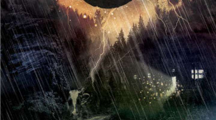 Spectacle et Conte Une Nuit dans les Bois