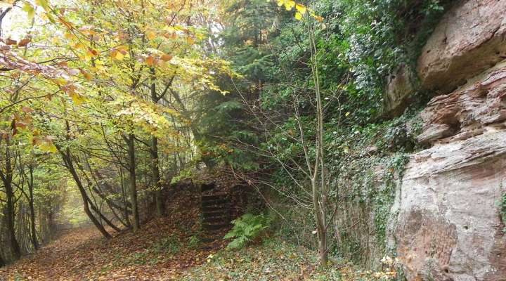 Burg Grand Arnsbourg