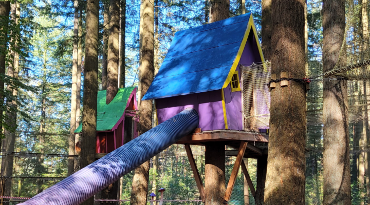 Multifreizeitpark la forêt des défis