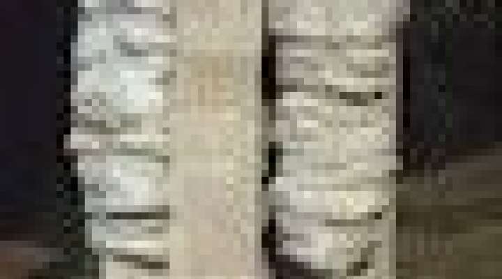 Skulpturen und zeitgenössische Kunstwerke in Bitche