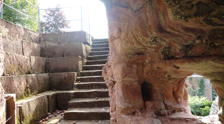 Château du weckersburg