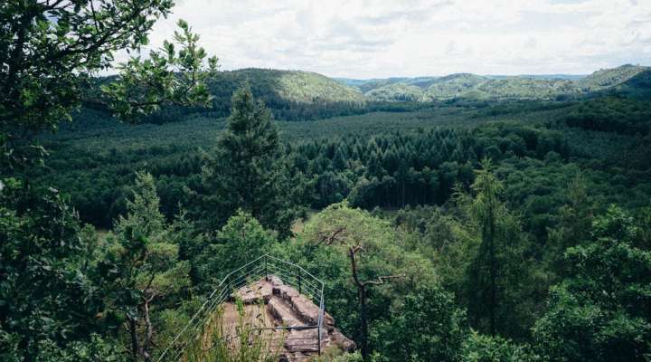 Réserve naturelle des rochers et tourbières du pays de Bitche