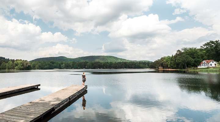 Réserve naturelle des rochers et tourbières du pays de Bitche