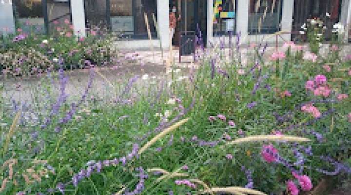 Brasserie de la poste (bar)