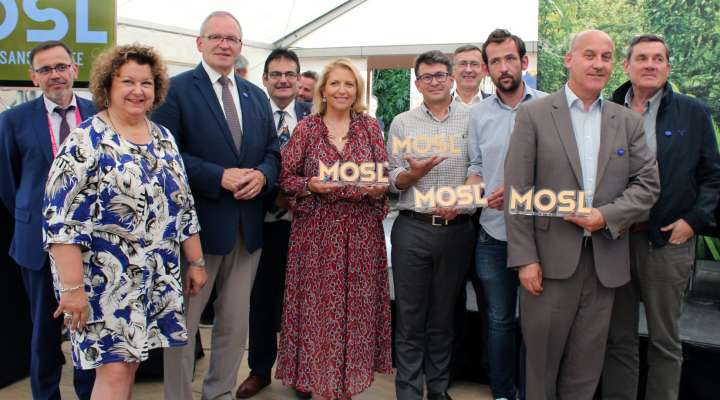 Mont royal ophtalmique