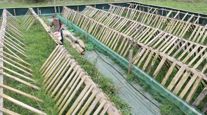 Ferme hélicicole - l'escargot du Pays de Bitche