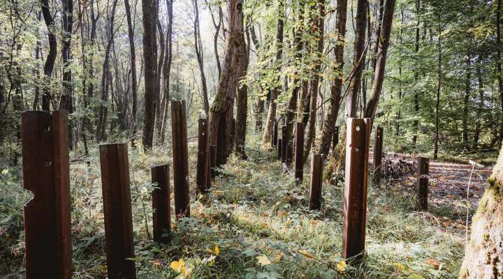 Sentier d'excellence 5 - autour des blocs de combats du simserhof