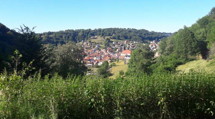 Sentier d'excellence 7 - sur les traces des sabotiers