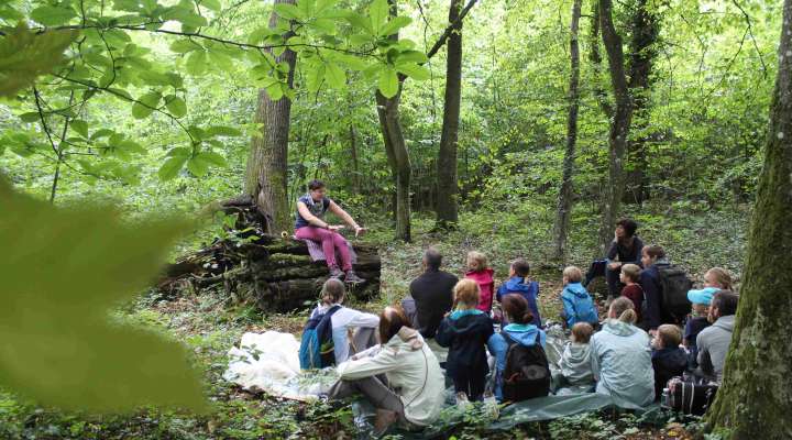 Balade contée Echos de la forêt