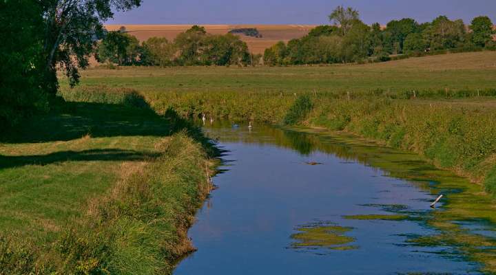 Vallée de la Seille et prés salés de Marsal