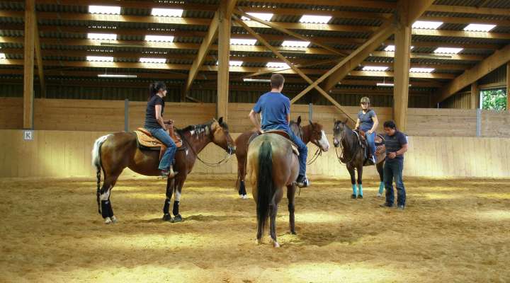 Centre de loisirs équestre Enbraye Farm