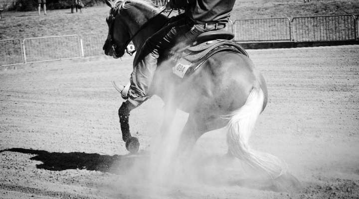 Centre de loisirs équestre Enbraye Farm