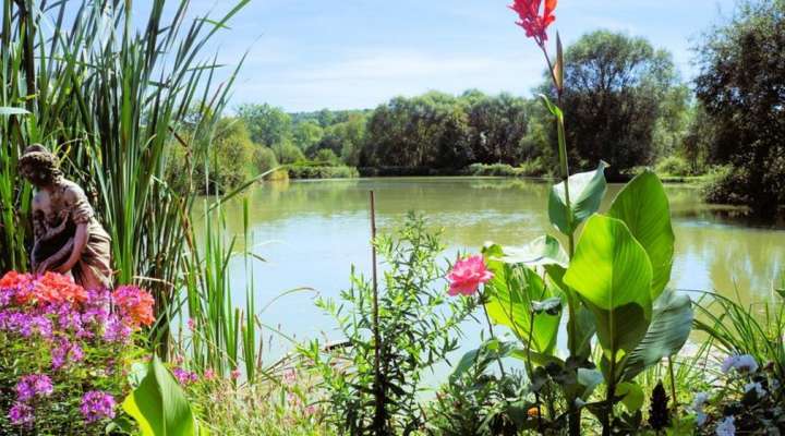 Domaine de Lardoisière